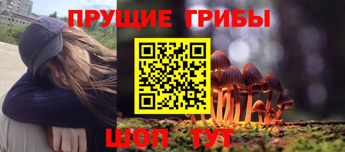 Галлюциногенные грибы Cubensis  Галлюциногенные грибы Cubensis  Вход с VPN  Брянск 